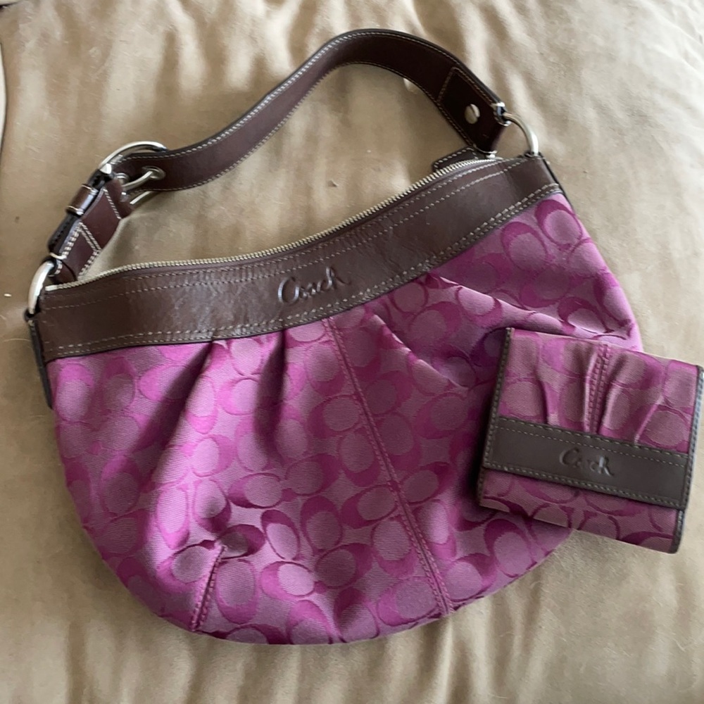 Purple and Brown Coach Purse and Wallet